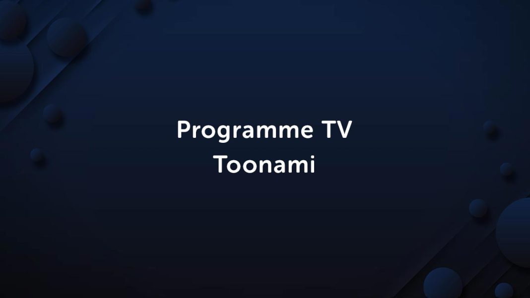 Programme TV Toonami